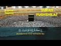 Download Lagu Murottal Surah Fushshilat By Syekh Arif Abdullah Al Asyi