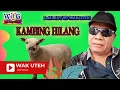Download Lagu Djalaut HbWak Uteh - Kambing Hilang with