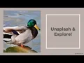 Google Slide Design Tip 1 Unsplash and Explore