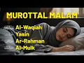 Download Lagu Murottal Al Quran Malam Surah Al Waqiah, Yasin, Ar Rahman, Al Mulk | Pengantar Tidur - Alaa Aqeel