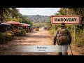 Mahaleo Marovoay Cover IA EDM