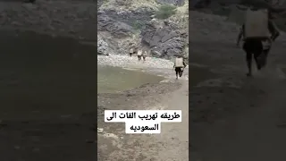 تهريب القات من اليمن الى السعوديه دندنها