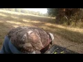 Hatfield 20ga shotgun will not cycle