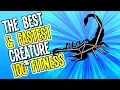 Evolution THE BEST CREATURE WITH 100 FITNESS IN THIS EVOLUTION SIMULATOR - Evolution Simulator