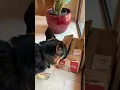 My food delivery