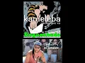 Lagu Enganchado kameleba black dali