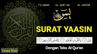 surat yasin tanpa iklan merdu dengan teks full 