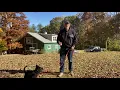 Jim Hodges Dog Training Puppy Do s and Don ts Puppy Leash Handling and Pulling on Leash
