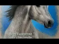 Part 1 of 2 Equine Color Genetics Exposed Separating Fact from Fiction on the Gray Gene