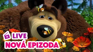 🔴 LIVE! Máša a Medvěd 🐻👧 NOVÁ EPIZODA 💥Dobré včelí bytí 🐻🏋️🐝🍬 Masha and the Bear