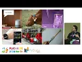 Machine Learning on microcontrollers using MicroPython and emlearn PyCon DE PyData Berlin 2024