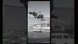 تربلين دندنها