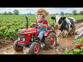 Lagu Monkey NaNa’s Farm Run Turns CHAOTIC When a Cow Sinks in Deep Mud — His Genius Rescue SHOCKS All! 😱🐄