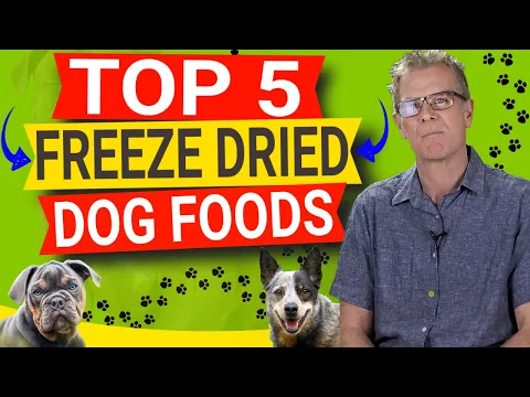 Download MP3 Top 5 Freeze Dried Dog Foods 2024