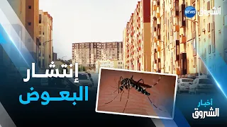 المدينة الجديدة سيدي عبدالله البعوض ينغص حياة السكان 