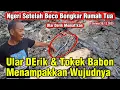 Lagu Bahaya Ular Derik Memat!kan‼️ Ular DErik 1mtr Terjebak Di Track Excavator #dedimulyadi #kdm