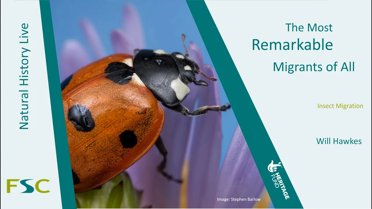 The Most Remarkable Migrants of All
