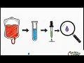 Clinical Chemistry Units Made Easy Stop Confusing mmolL mgdL