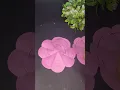 Classroom Decoration Ideas for Teachers Day