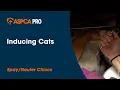 Anesthesia Inducing Cats