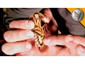 Download YIKES! GIANT STABBING ROACH! mp4 3gp mp3 videos - waplic
