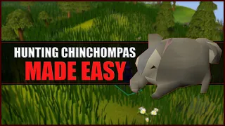 Quick Guide to Hunting Grey Chinchompas in OSRS Hunter Guide Hunters Rumours
