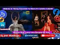Belinda & Thirty Seconds To Mars Ft Camila Cabello Never Not Love You Dream Of You Mashup