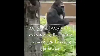 اهي اهي     دندنها