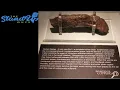 The Story Behind the World s Biggest Human Turd