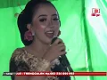 WAYAH WENGI ING KUTHO TRENGGALEK// VOC ANIN AURORA // DUTA NADA PACITAN