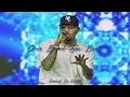 Chris Brown- Warm Embrace (Mobsta Remix)