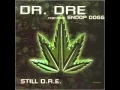 Download Lagu Dr. Dre - Still D.R.E. (Instrumental)_youtube_original