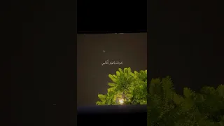 كل دنيا ماريد بدونك ياهوة انفاسي     اكسبلور  لايك  حلات  تصميم  ترند  تصميمي                 دندنها