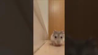 خخخخخخ دندنها