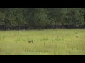 Business Introduces Short-Term Hunting Leases
