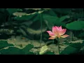 Singing Bowl | Lotus Flower Sound Therapy Music | Royalty Free