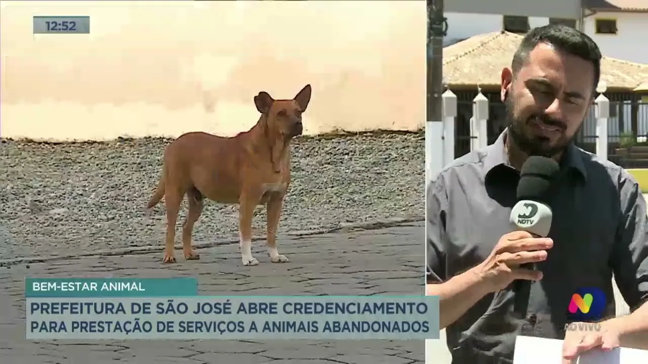 Prefeitura de São José abre credenciamento para prestação de serviços a animais abandonados
