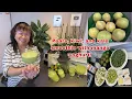 Download Lagu How to make my own version of pears, kiwi, and kale smoothie with mango yoghurt?