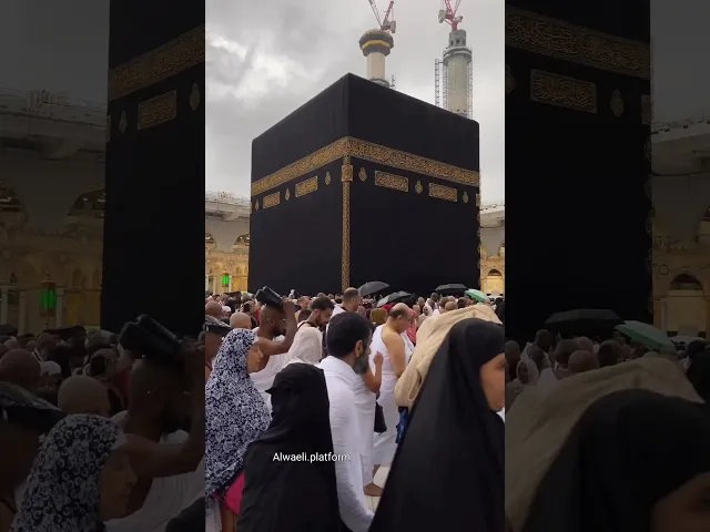 دعاء الشيخ أحمد الوائلي