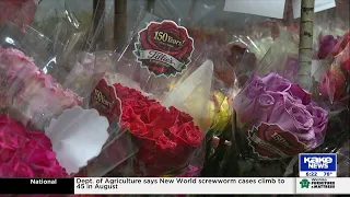 Tillie s Flower Shop celebrates 150 years in Wichita