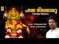 Lagu പമ്പേ നീയൊരു | Ayyappa Devotional Song | Mudra | Pambe Neeoru #madhubalakrishnan #ayyappa