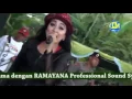 Download Lagu Kimcil Kepolen Elsa Safira Monata