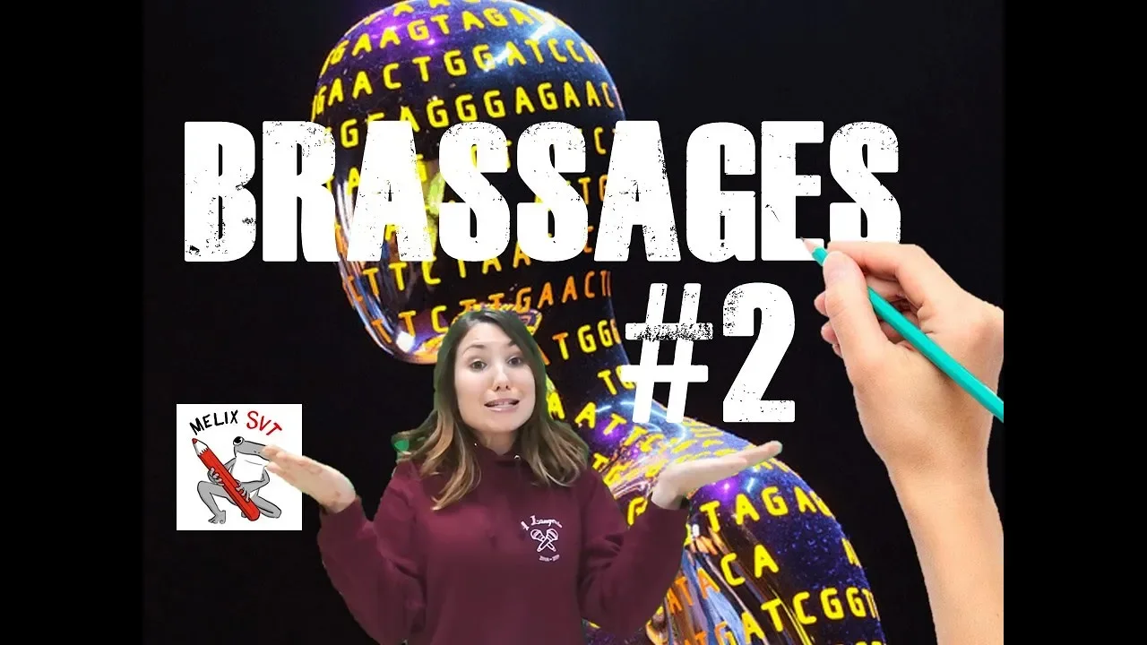 Brassage inter-chromosomique #TerminaleS #BACSVT