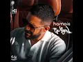 ادرينالين - محمد حماقي