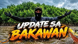 P1 - Kamusta na nga ba ang mga Tanim na Bakawan? - EP2419