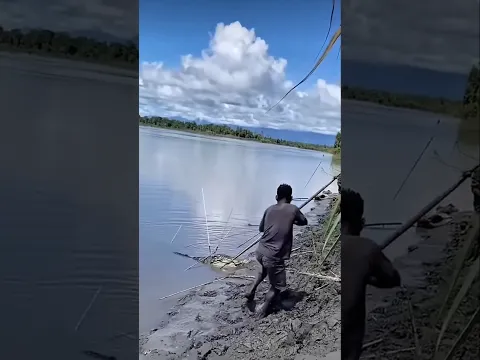 Archery crocodile