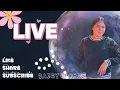 Daisy Blooms is live