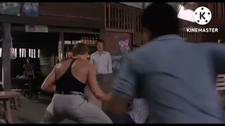 شعبي المولد مع فاندام   دندنها