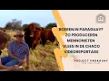 Download Lagu Boeren in Paraguay? Zo produceren Mennonieten vlees in de Chaco | videoreportage