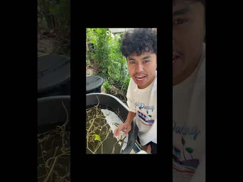 จุดสูงสุดสู่จุดตำ่สุด